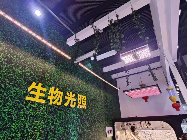 China Guangzhou International Lighting Exhibition